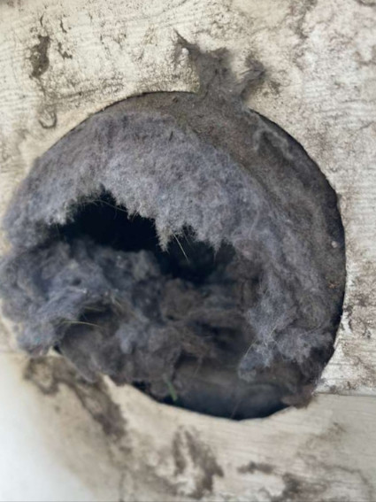 ExeDry dryer vent cleaning in kingwood